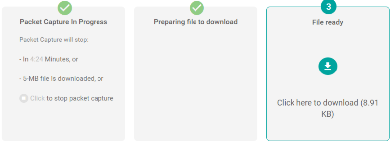 Figure 6. Packet Capture Progress