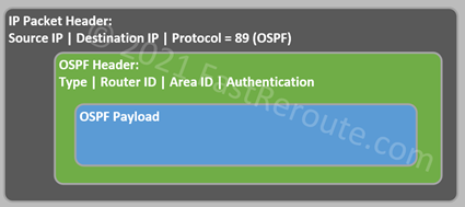 Figure 1. OSPF Header
