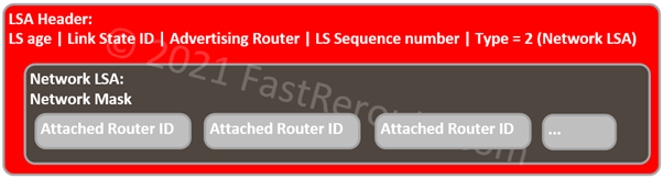Figure 10. Network LSA