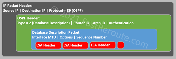 Figure 11. Database Description Packet