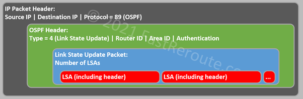 Figure 13. Link State Update Packet