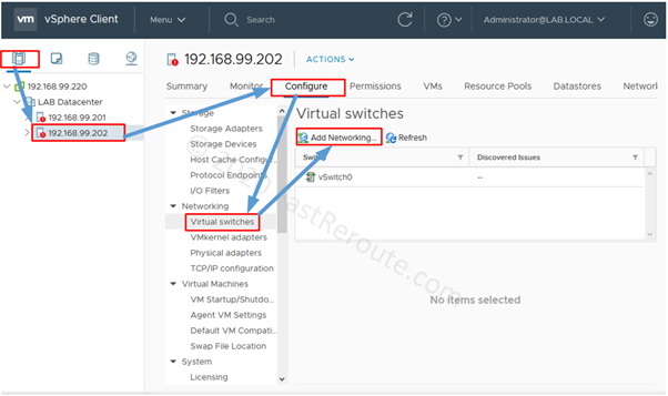 Figure 11. Virtual Switches via vCenter Management Interface