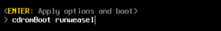Figure 4. Boot options prompt