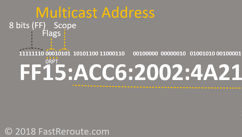 Figure 9. IPv6 Address Multicast Address Flags