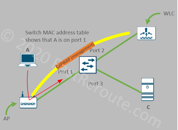 Explain Role and Function of Network Components – Part 2 - Cisco Access  Points and WLCs - Fast Reroute